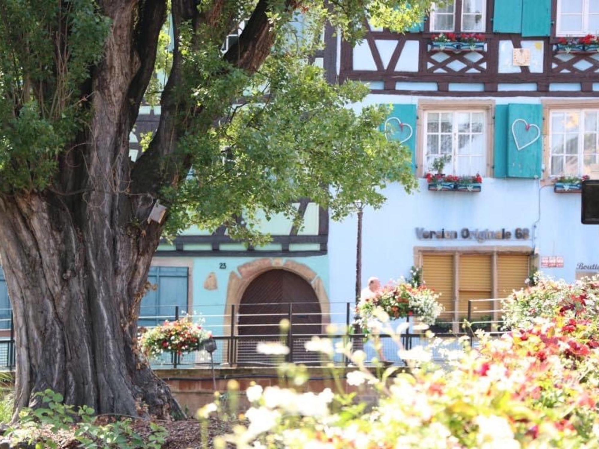 Charmant Appart Avec Garage Et Terrasse Au Coeur De Colmar, Pres De La Route Des Vins D'Alsace - Fr-1-722-6 Esterno foto